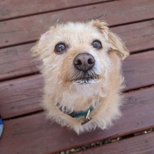 Meet your Posher, Sophia